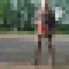 franzie01