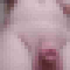 Stefan_1973