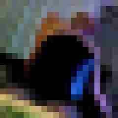 xxtsloverxx