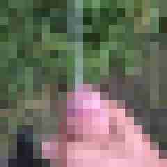 Captch01