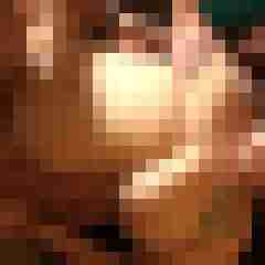 picturefreak