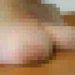 saufotze