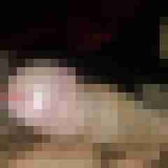 tomsnoo
