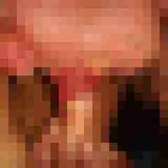 robertbilive