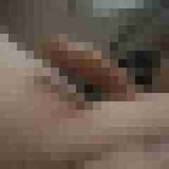 dickerchen73