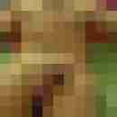 Tina_Tom