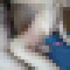 gerrycn