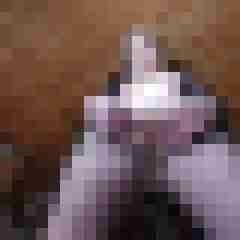 ifle50