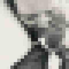 signothetimes
