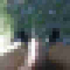 fireadler