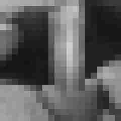 Neophite