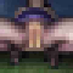 Nylongeiles_Paar