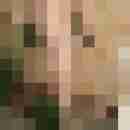Hazaspar