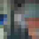 dwt-geiler