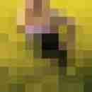 BiNicole