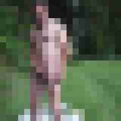 fireadler