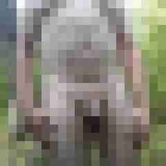 exib1