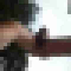 fireadler