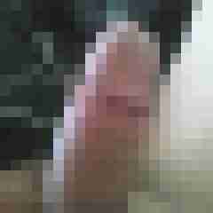 mops77