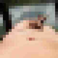 schwob69