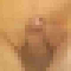 exib1