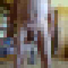 pimperion