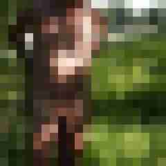 doline