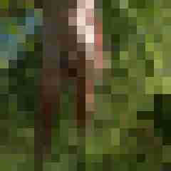 doline