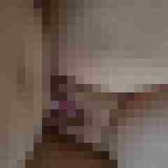 molly_lover_ka