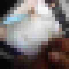 fireadler