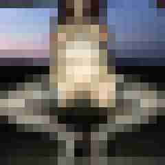 Nylongeiles_Paar
