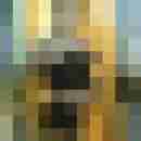 Bidwtcgn