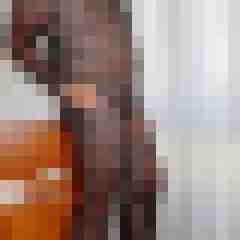 Haumphrey