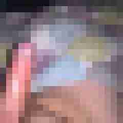klopfer1974