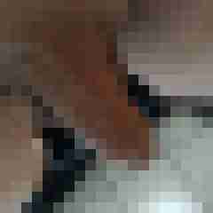 Migelll