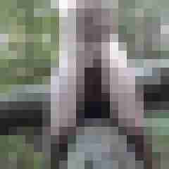 exib1