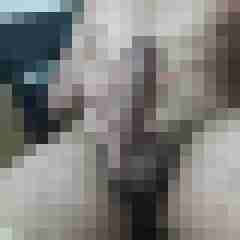 SonyBlack81