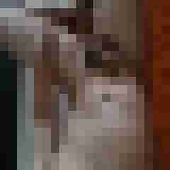 Mitch_zito