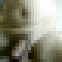 Ralle09
