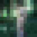 rolf_gruen