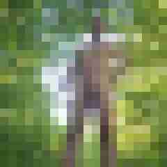 kornwest1