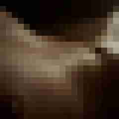 Mond84