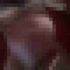 noctolus