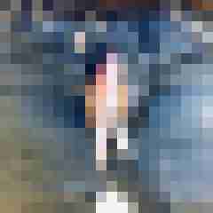 signothetimes