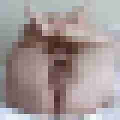 Hornyone63A