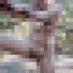 werter6