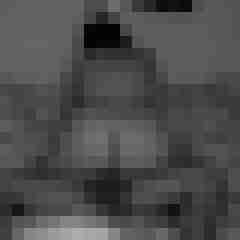 arschstute