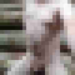 exib1