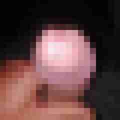 noctolus
