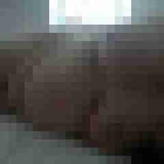 Bbw-Stute
